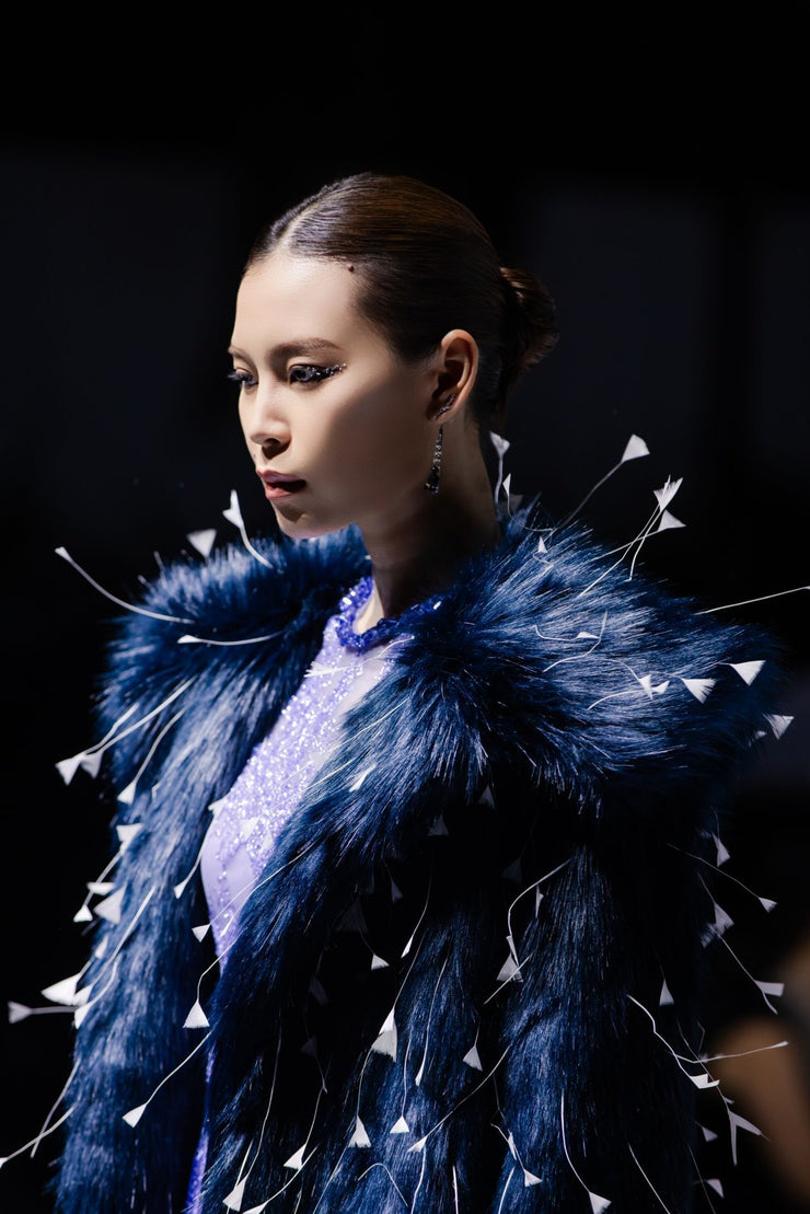 Lớp phủ băng tan