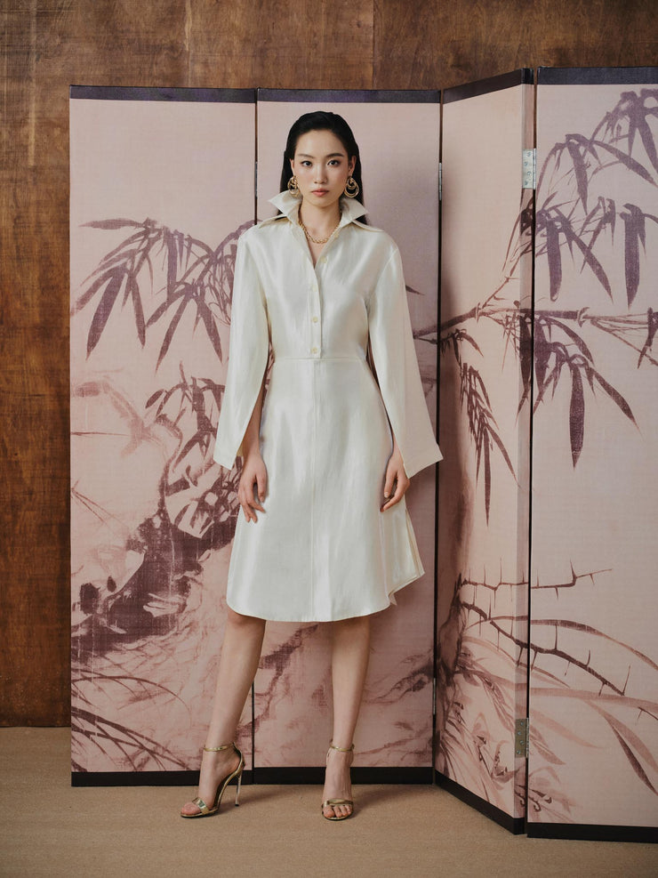 SOFT POWER Shirt Dress