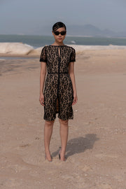 Pencil Lace Dress
